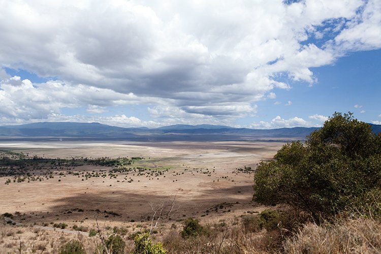 TZA ARU Ngorongoro 2016DEC26 Crater 105